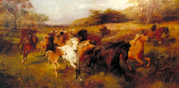 Colt Hunting in the New Forest